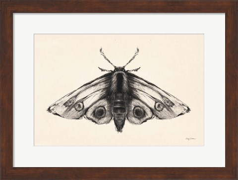 Framed Moth II Print