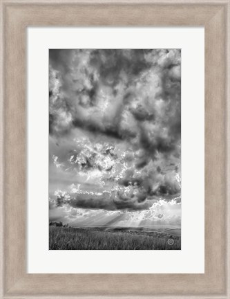 Framed Rolling Pasture Rays Print