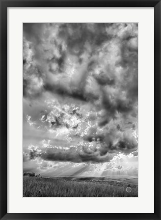 Framed Rolling Pasture Rays Print