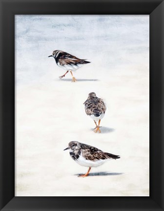 Framed Sandpiper Beach Print