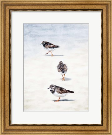 Framed Sandpiper Beach Print