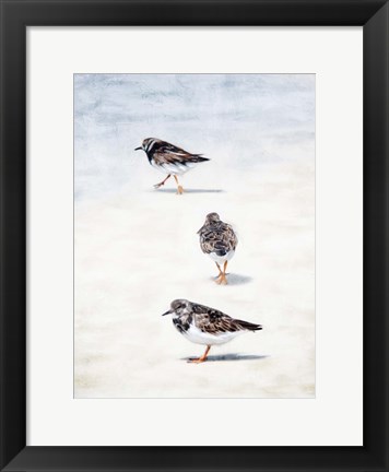 Framed Sandpiper Beach Print