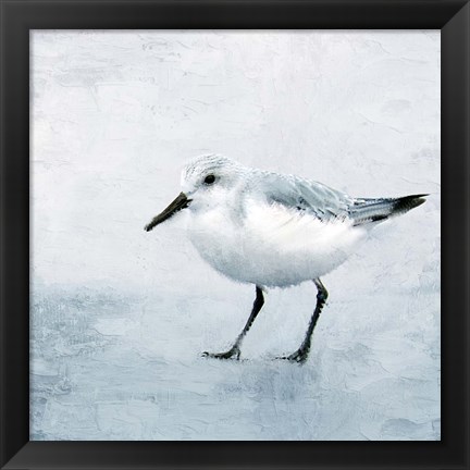 Framed Sandpiper 2 Print