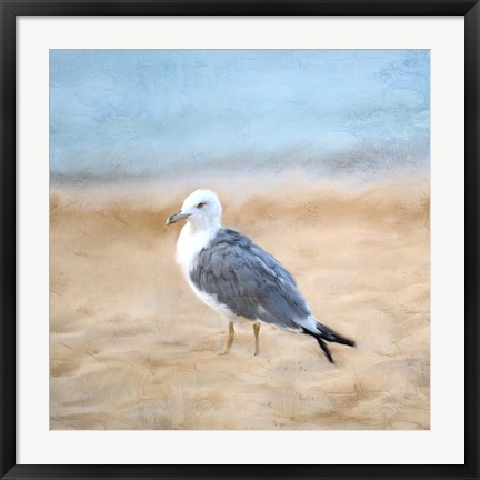 Framed Seagull Print