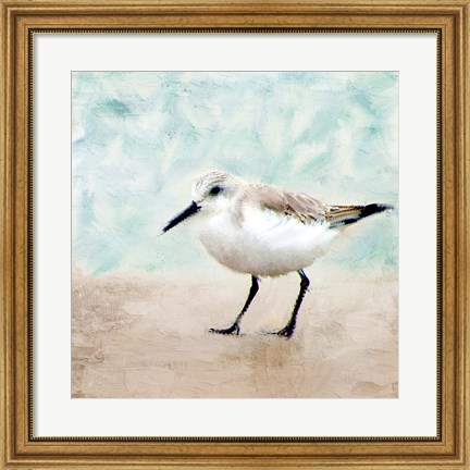 Framed Sandpiper Walk 2 Print