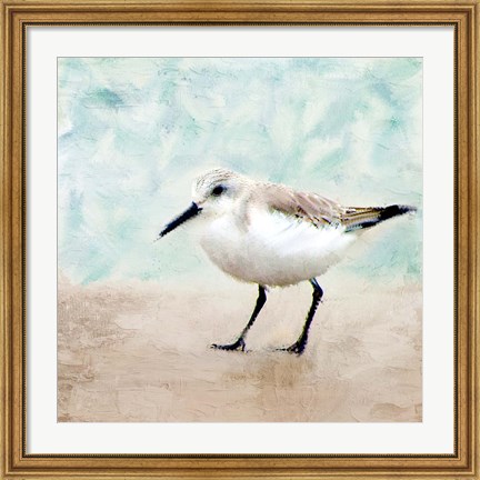 Framed Sandpiper Walk 2 Print