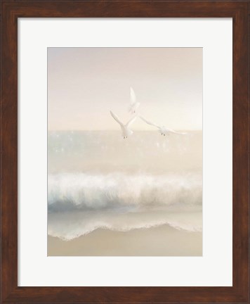 Framed Gulls Print