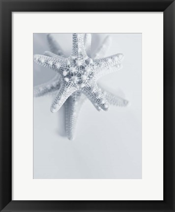 Framed Starfish Print