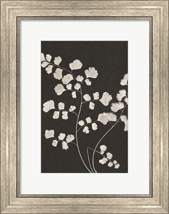 Framed Vintage Ferns III Print