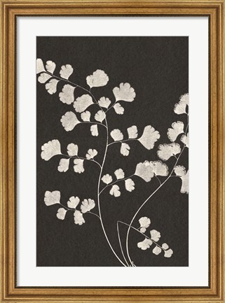 Framed Vintage Ferns III Print