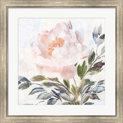 Framed Peony Melody Print