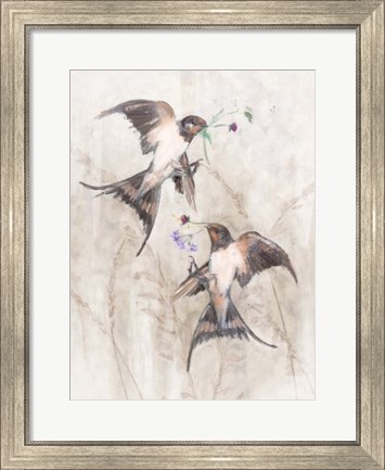 Framed Playful Swallows II Print