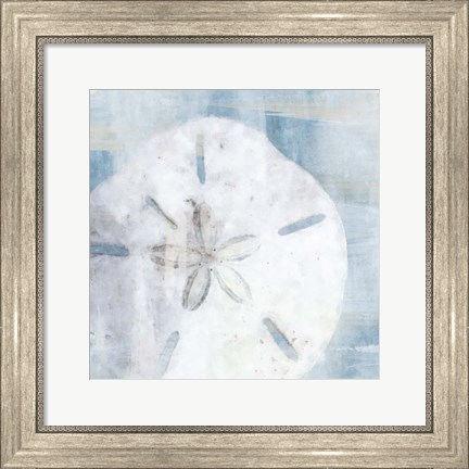 Framed Sand Dollar II Print