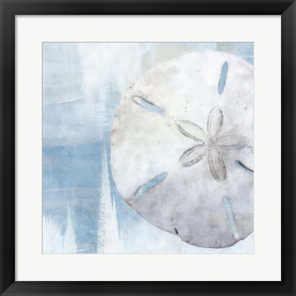 Framed Sand Dollar III Print