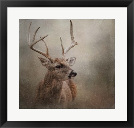 Framed Winter Messenger Print