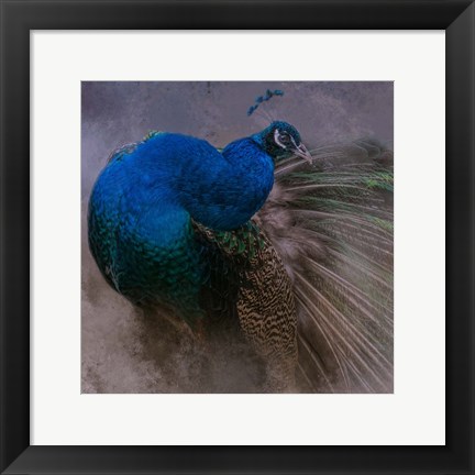 Framed Natural Beauty Print