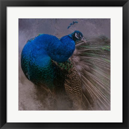 Framed Natural Beauty Print