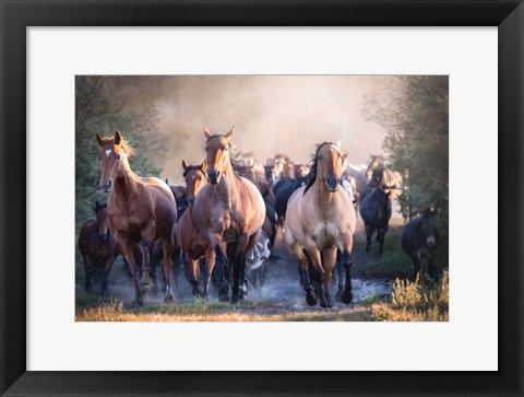 Framed Running Wild Print