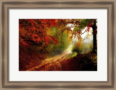 Framed Autumn Forest Edge Print