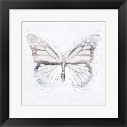 Framed Silver Butterfly II Print