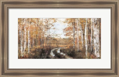 Framed Rusted Hearth Birch Trees II Print