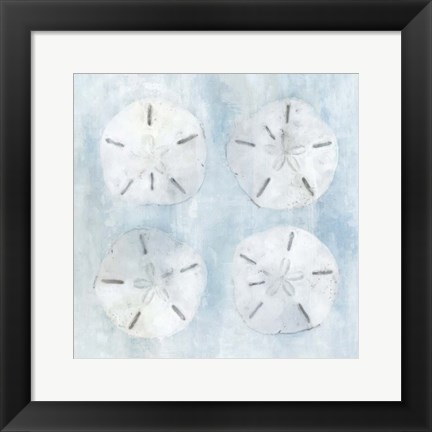 Framed Sand Dollars II Print