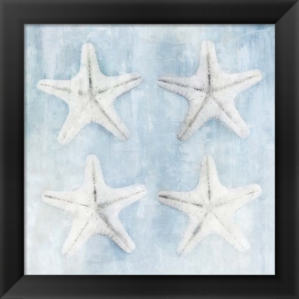 Framed Star Fish Print