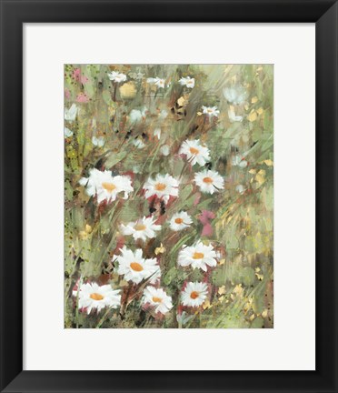 Framed Daisy Field II Print