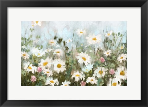 Framed Field of Daisies Print