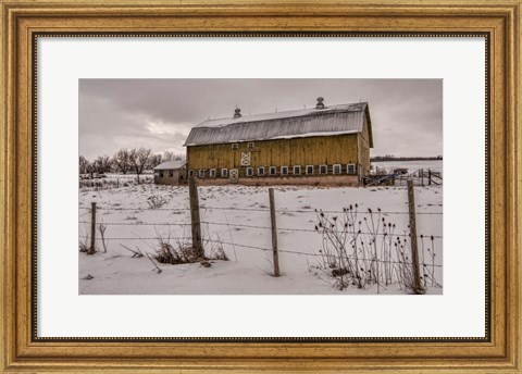 Framed Old Yeller Print