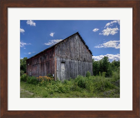 Framed Country Lilies Print