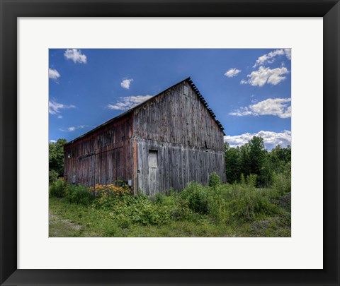 Framed Country Lilies Print