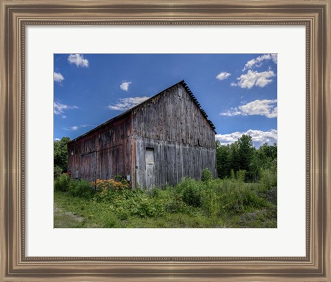 Framed Country Lilies Print