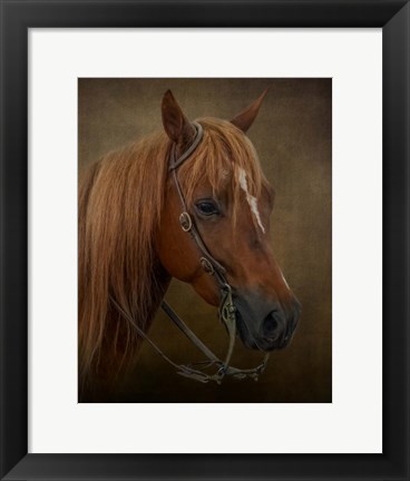 Framed Ready to Compete Print