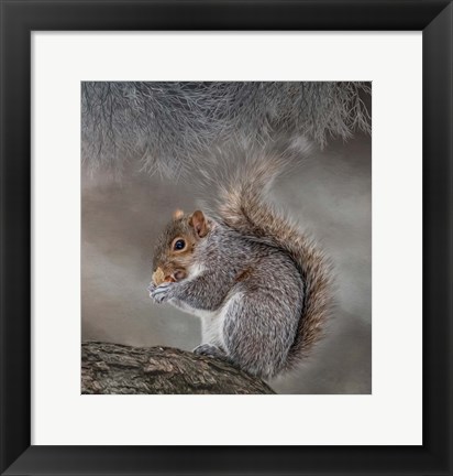 Framed Bright Eyed and Bushy Tailed Print