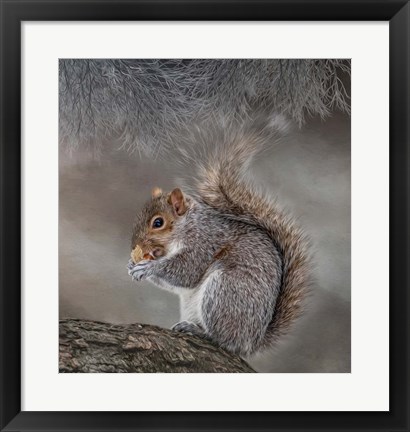 Framed Bright Eyed and Bushy Tailed Print