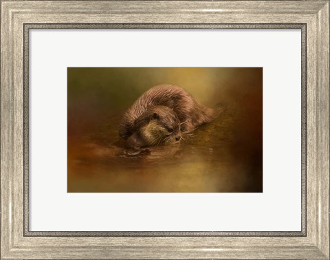 Framed Otter Curiosity Print