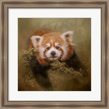 Framed Hanging Out Print