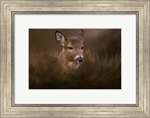 Framed Encounter Print