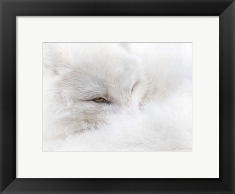 Framed White on White Print