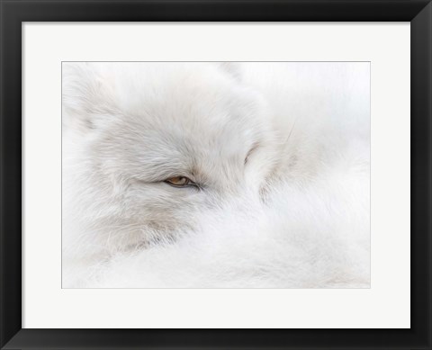 Framed White on White Print