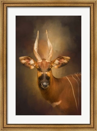 Framed Wild Star Print