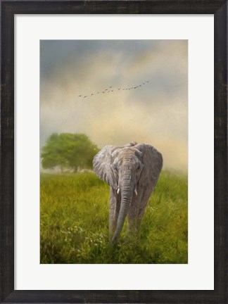 Framed Solo Approach Print