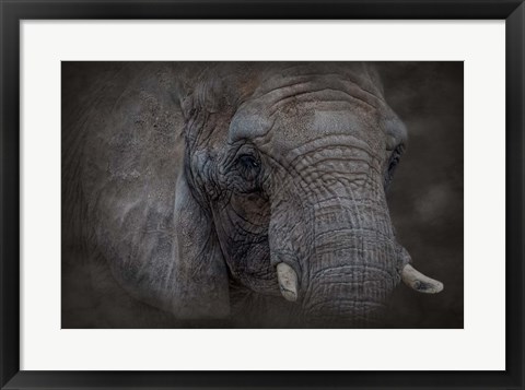 Framed Textured Print