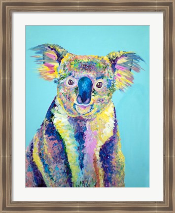 Framed Koala Print