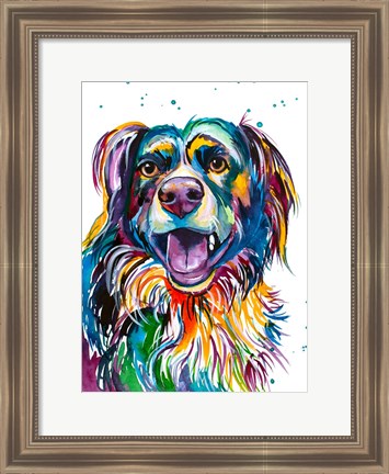 Framed Kato the Australian Shepherd Print