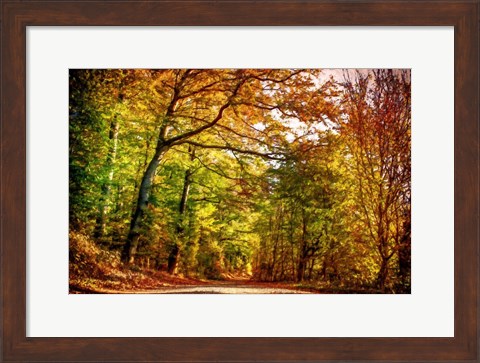 Framed Autumn Pathway Print