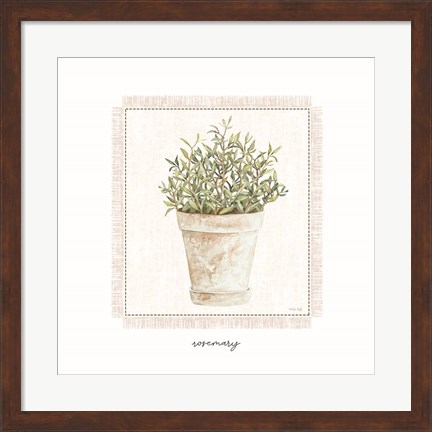 Framed Fresh Rosemary Print