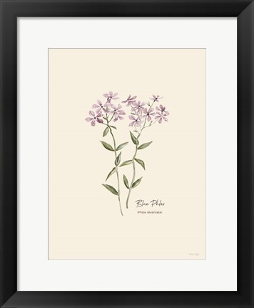 Framed Blue Phlox Print