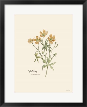 Framed Buttercup Print